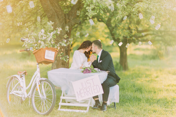 Romantic picknick under tree in park. Happy bride and lovely groom holding hands while sitting at the table. Decorated bicycle stands near