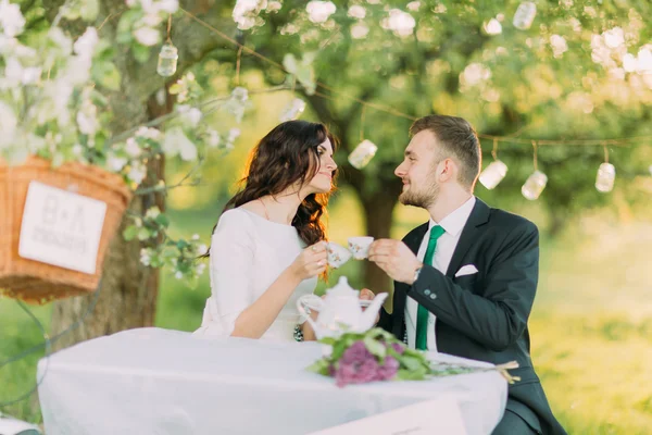 公園の木の下でロマンチックなピックニック。彼女の愛する新しい夫とお茶を飲んで幸せな花嫁。装飾された自転車が近くに立っている — ストック写真