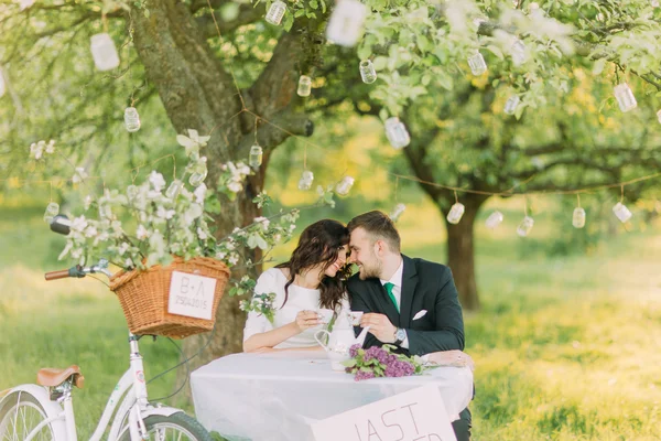 Picnic romántico en el parque. Pareja besándose al beber té bajo el árbol, decorado con pequeñas linternas de vidrio — Foto de Stock