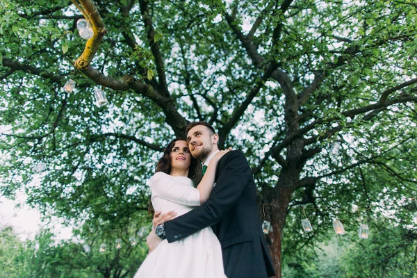 Bela noiva e noivo no parque da noite segurando um ao outro sob a árvore decorada com muitas lanternas. Tiro de ângulo baixo — Fotografia de Stock
