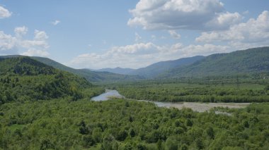Nefes kesici manzara ile yeşil dağ ormanları ve mavi nehir önünde. Karpat Dağları
