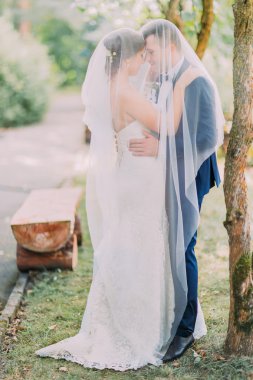 Güzel beyaz elbise ve birbirlerine peçe altında tutan romantik damat gelin