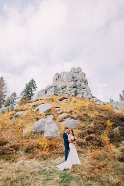 Şık mavi yakışıklı damat takım elbise kucaklayan beyaz giyimli gelin gül buketi artalanları olarak büyük kayalar ile pastoral açık peyzaj üzerinde tutan