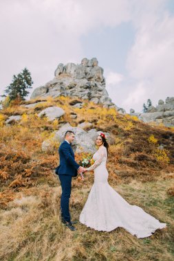 Elele onun beyaz giyimli gelinin pastoral kayalık manzara artalanları olarak üzerinde şık mavi elbiseli yakışıklı damat