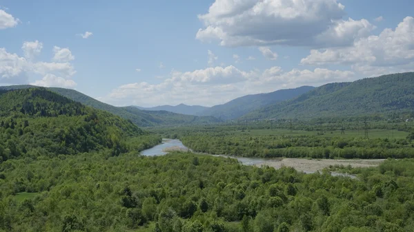 Nefes kesici manzara ile yeşil dağ ormanları ve mavi nehir önünde. Karpat Dağları