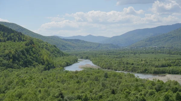 Nefes kesici manzara ile yeşil dağ ormanları ve mavi nehir önünde. Karpat Dağları