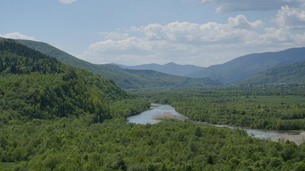 Yeşil Vadi dağ ormanları ve mavi nehir önünde ile nefes kesici manzara. Karpat Dağları