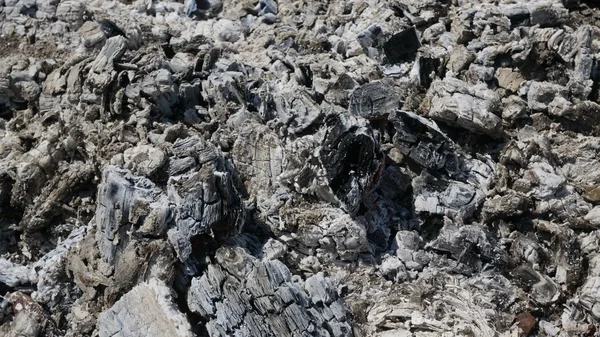 Nahaufnahme Textur eines sedimentären Bergkalksteinfelsens — Stockfoto