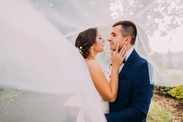 Schöne Braut und stilvoller Bräutigam beim Küssen. langer Brautschleier, der im Wind weht — Stockfoto