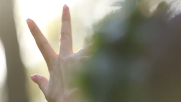 Hermosa mano femenina con uñas de manicura francesa de cerca sobre el fondo verde natural — Vídeo de stock