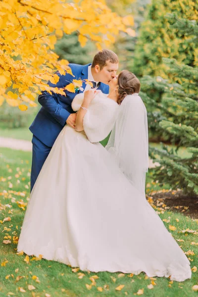 Bacio romantico di coppia appena sposata sotto albero con foglie gialle nel parco autunnale — Foto Stock