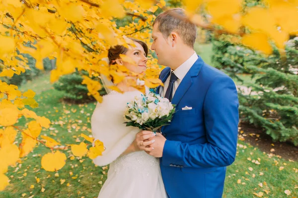 Romantic moment of newly married couple under autumn tree with yellow leaves — Stock Photo, Image