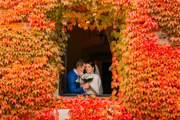 Noivo romântico vai beijar sua bela noiva na janela com hera vermelha — Fotografia de Stock