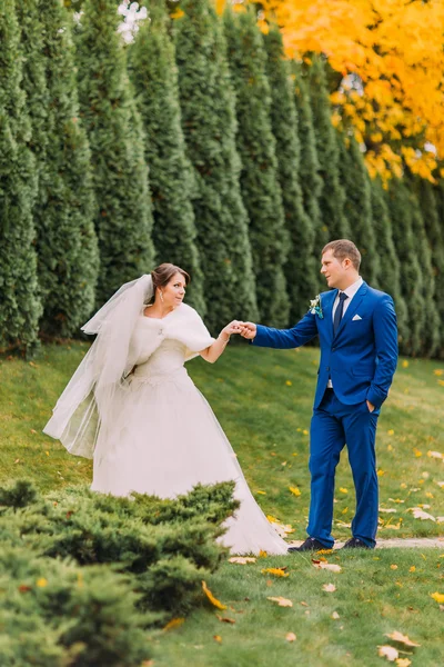 Casamento recém-casado passeando no verde parque ensolarado com ciprestes — Fotografia de Stock