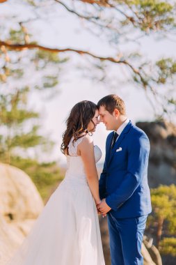 Dağ manzarası ile kayalık uçurum üzerinde kendi el ele tutuşarak romantik mutlu yeni evli çift