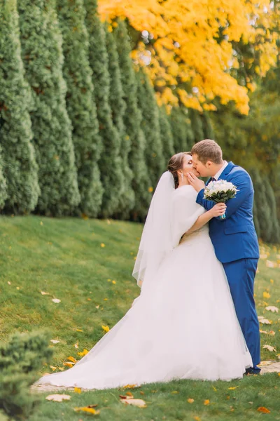 Casamento recém-casado passeando no verde parque ensolarado com ciprestes — Fotografia de Stock