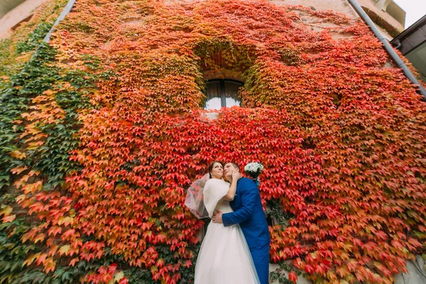 Noiva e noivo posando no parque perto da parede do castelo fortificado com planta rasteira vermelha — Fotografia de Stock