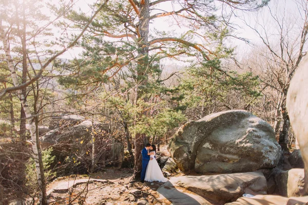 新郎轻轻地抱着他的新婚妻子站在一棵树之间岩石巨石下。山风景 — 图库照片
