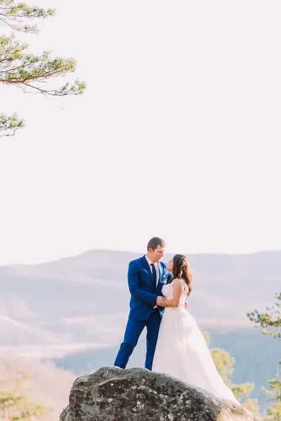 Nur verheiratete Paare, die oben auf Felsen stehen, Bräute lange Kleider, die sich nach unten ausbreiten. hügelige Landschaft — Stockfoto