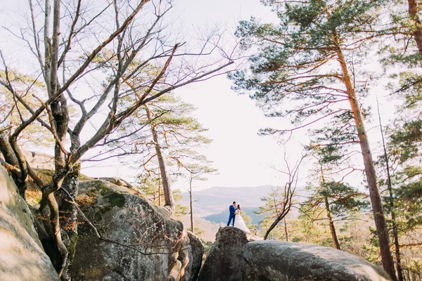 Casal recém-casado posando em majestosas pedras rochosas, jovem esposa inclinada para seu marido amoroso — Fotografia de Stock