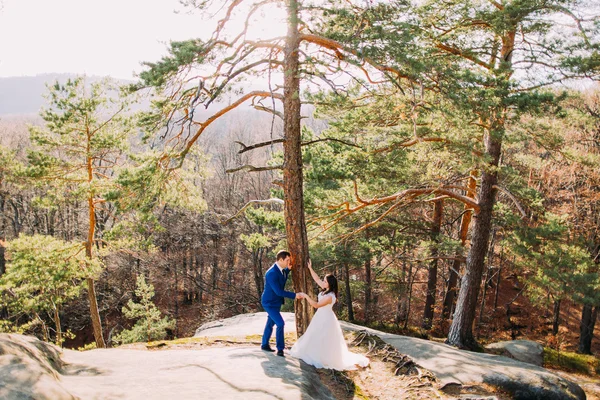 Le beau marié tient doucement son élégante nouvelle femme sous un pin. Paysage de montagne — Photo