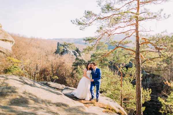 英俊的新郎轻轻地抱着妻子站在岩质边坡的优雅的新 — 图库照片