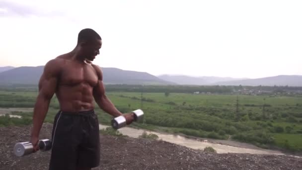 Bonito negro africano americano muscular homem levantando halteres contra o fundo do céu nublado — Vídeo de Stock