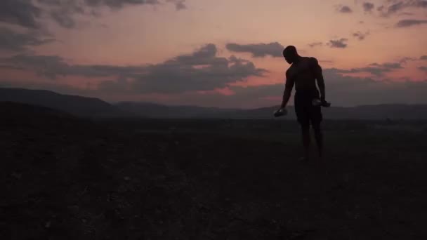 Silhueta de construtor de corpo muscular americano africano levantando halteres contra o fundo do céu pôr-do-sol rosa. Conceito de treinamento ao ar livre — Vídeo de Stock