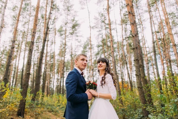 Mutlu yeni evli gelin ve damat sonbahar çam ormanı içinde birlikte elele