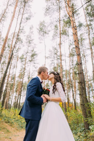 Happy sposi che si baciano nella pineta autunnale — Foto Stock