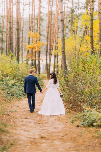 Lyckligt nygifta brudparet vandrar i höst tallskogen. Bakifrån — Stockfoto