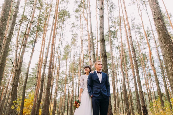 Felice elegante coppia di sposi in posa nella pineta autunnale — Foto Stock