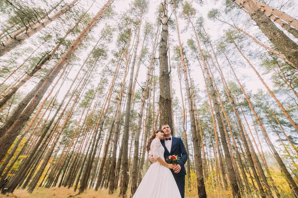 Felice elegante sposi in posa nella pineta autunnale sotto alto albero — Foto Stock