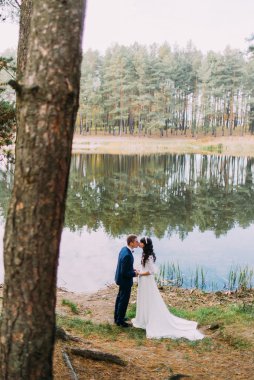 Romantik damat ve büyüleyici yeni eşi Orman Gölü kıyısında öpüşme