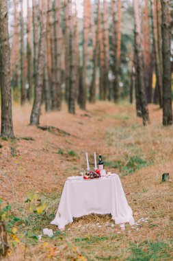 Sonbahar ormanın içinde romantik bir akşam yemeği için şirin tablo