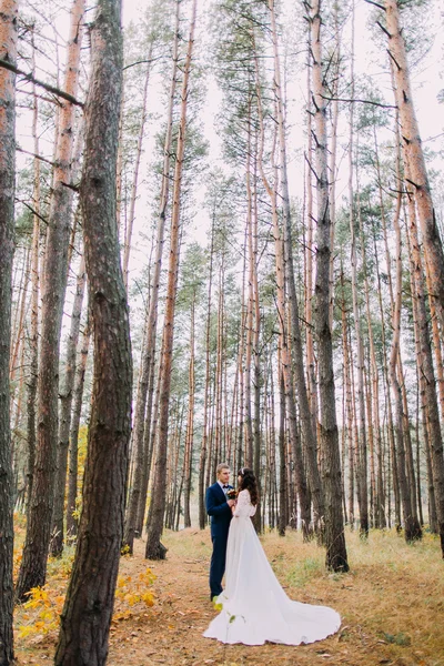 幸せなスタイリッシュな新郎と秋の松林でポーズをとる彼の魅力的な新しい妻 — ストック写真