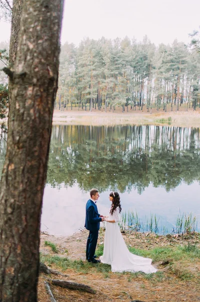 Щасливий стильний наречений і його чарівна нова дружина тримає один одного на березі лісового озера — стокове фото
