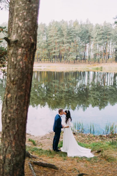 Romantico sposo e la sua affascinante nuova moglie baciare sulla riva del lago foresta — Foto Stock