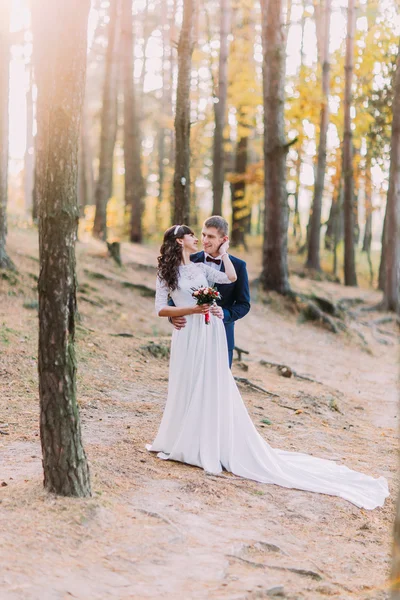 Feliz casal recém-casado romântico segurando um ao outro na floresta de pinheiros outono — Fotografia de Stock