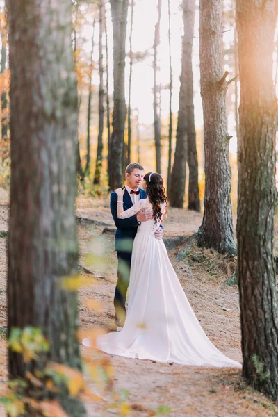 Чуттєвий момент романтичної нещодавно одруженої пари тримає один одного в осінньому сосновому лісі — стокове фото