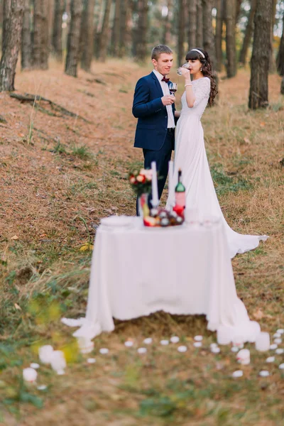 Romantikus őszi fenyő erdő picknick boldog newlywed pár esküvői ünnepli a házasság — Stock Fotó