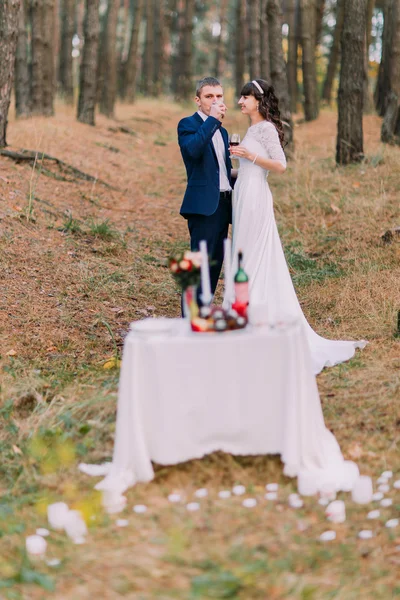 Romântico pinhal outono picknick de feliz casal recém-casado celebrando seu casamento — Fotografia de Stock