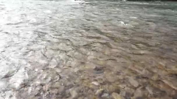 Rio de montanha rápido fluir sob a luz solar brilhante. Grande seixo pode ser visto através das ondas — Vídeo de Stock