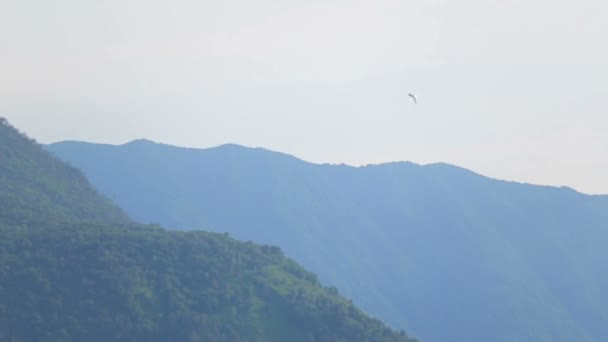 갈매기는 호수 Como, 이탈리아에 도착 하 는입니다. 산 배경에서 — 비디오