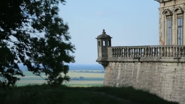 Beautiful ancient medieval castle in the green spring forest — Stock Video