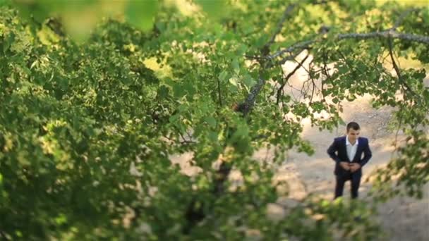 Ευτυχισμένος νέοι γαμπρός στέκεται κοντά στο πράσινο δέντρο στο δάσος. Κάτοψη — Αρχείο Βίντεο