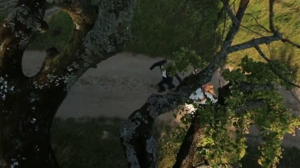 Joyeux jeune couple attrayant marchant dans la forêt verte d'été. Lune de miel à la campagne. Vue du dessus 