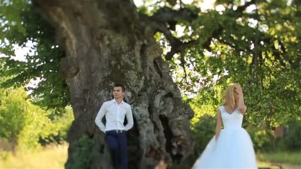 Bela noiva feliz e noivo posando perto da árvore verde na floresta — Vídeo de Stock