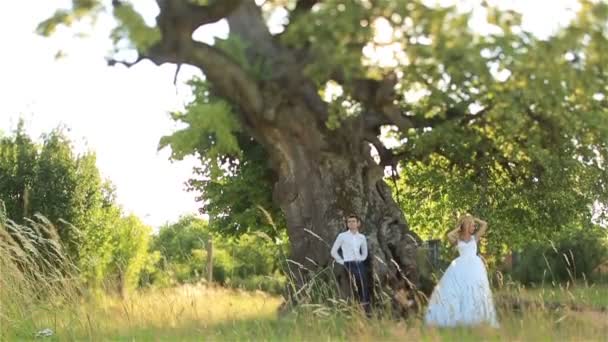 Hermosos novios felices posando cerca del árbol verde en el bosque. Puesta de sol sobre fondo — Vídeos de Stock