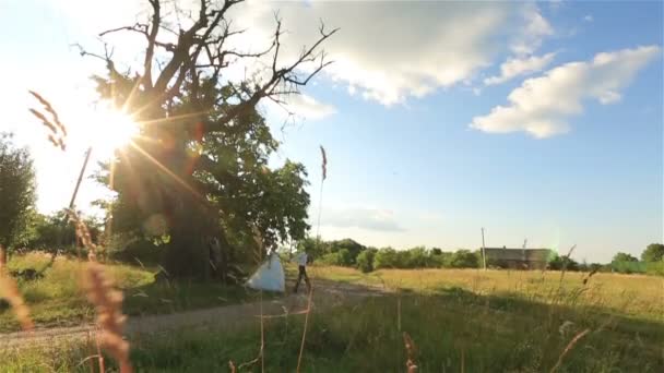 Jovem casal casamento feliz andando no campo ensolarado e de mãos dadas — Vídeo de Stock